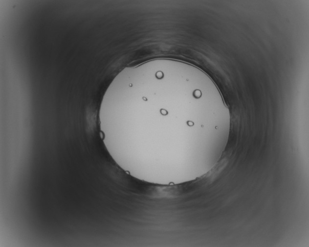 X0000100360188200806271431