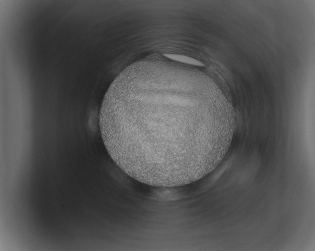 X0000100360189200806271431