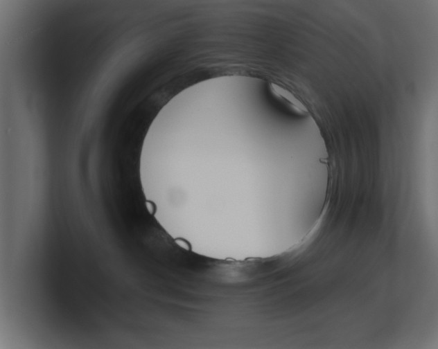 X0000100360190200806271431