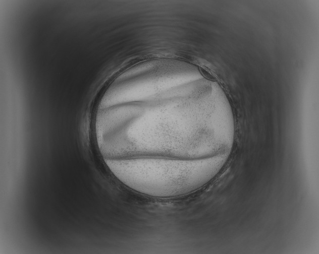 X0000100360194200806271431