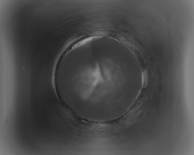 X0000100360195200806271431