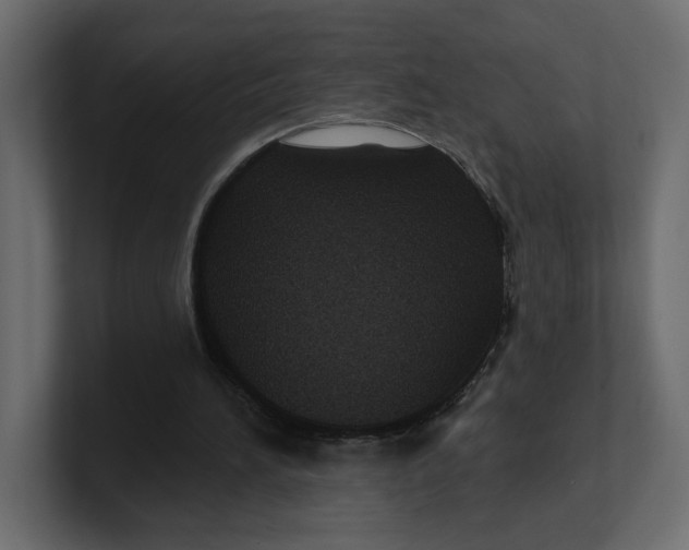 X0000100360196200806271431