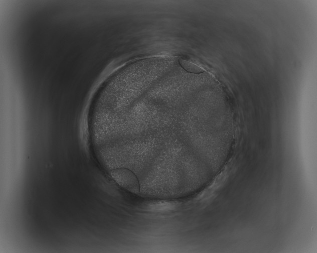 X0000100360198200806271431