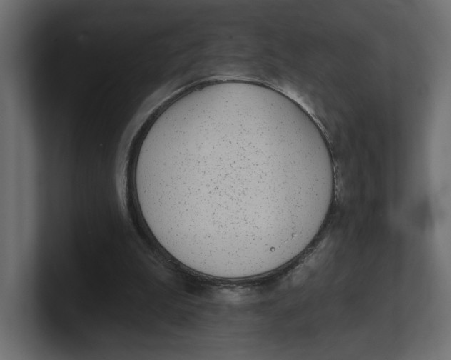 X0000100360199200806271431