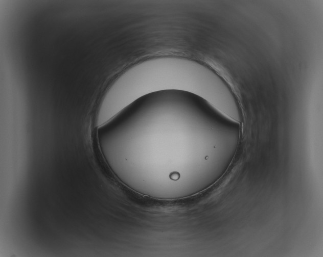 X0000100360201200806271431