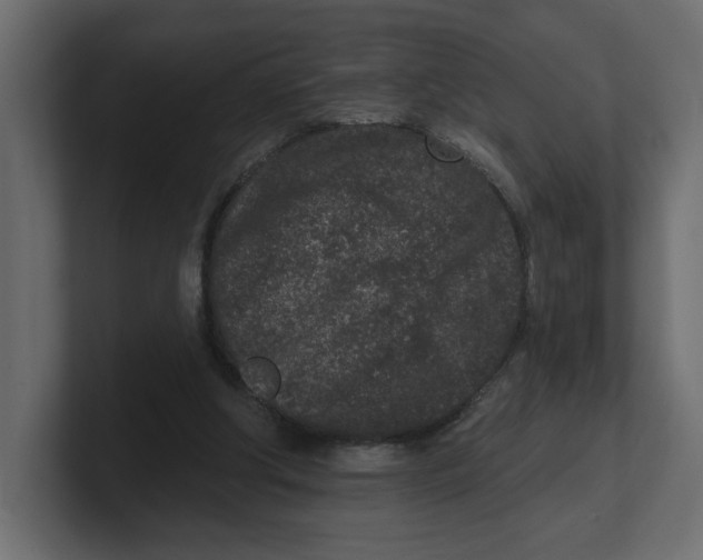 X0000100360202200806271430