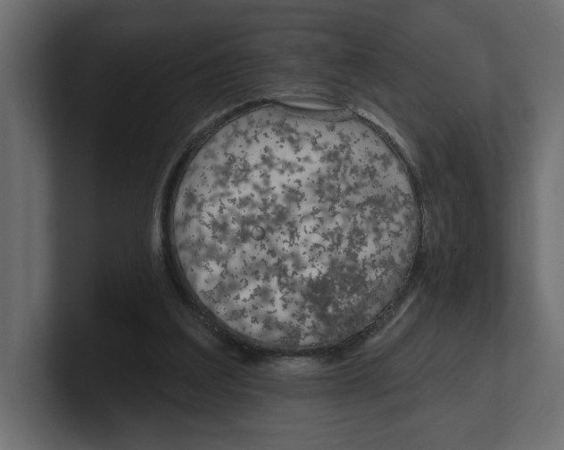 X0000100360203200806271430