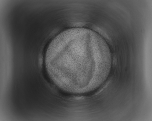 X0000100360206200806271430