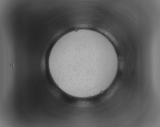 X0000100360207200806271430