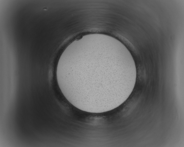 X0000100360208200806271430