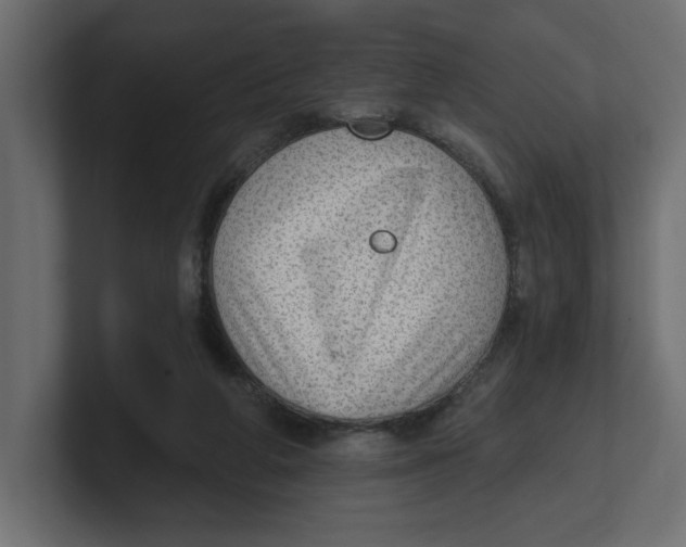 X0000100360210200806271430