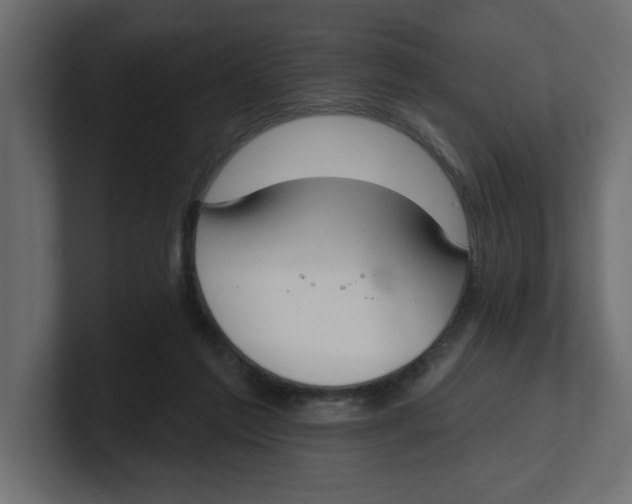 X0000100360213200806271430