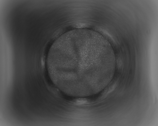 X0000100360214200806271430