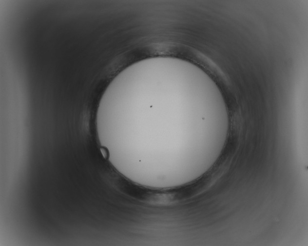 X0000100360217200806271430