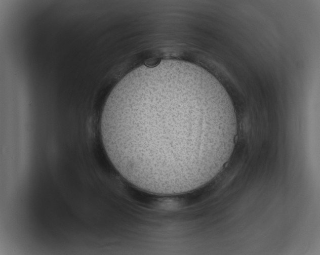 X0000100360218200806271430