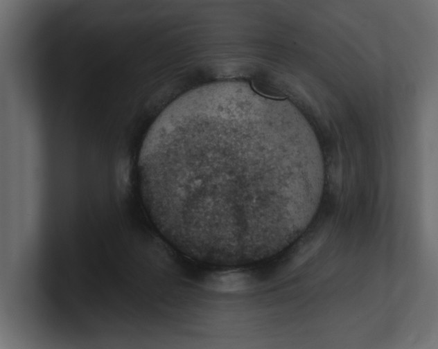 X0000100360219200806271430