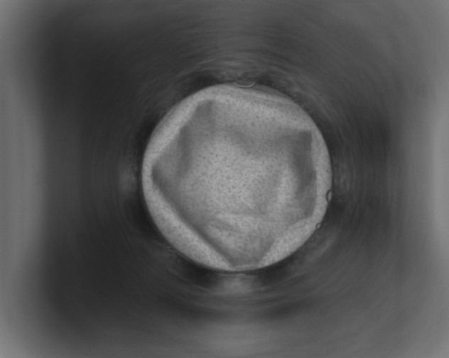 X0000100360226200806271430