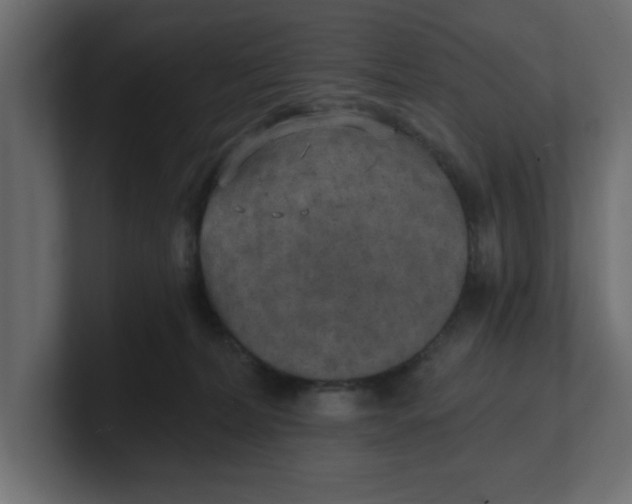 X0000100360228200806271430