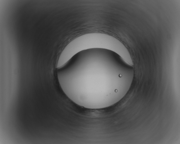 X0000100360229200806271430