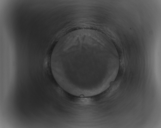 X0000100360233200806271430