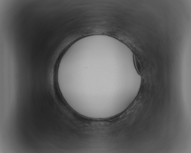 X0000100360242200806271429