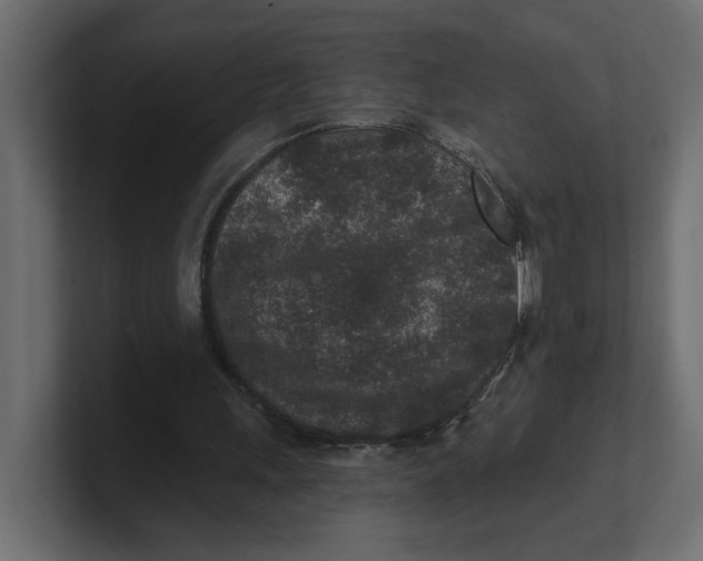 X0000100360243200806271429