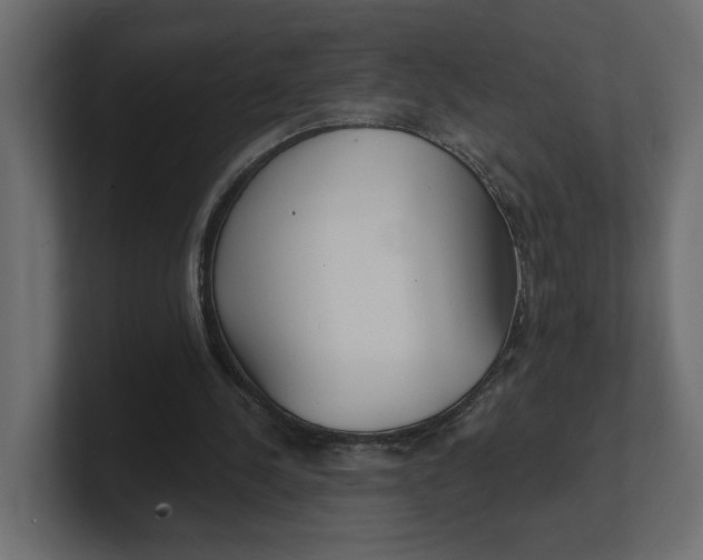 X0000100360244200806271429