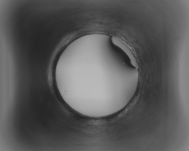 X0000100360245200806271429