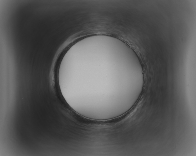 X0000100360246200806271429