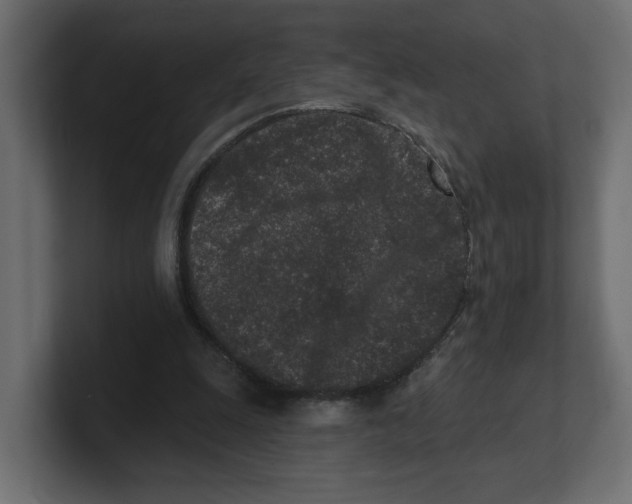 X0000100360247200806271429