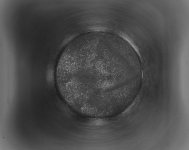 X0000100360249200806271429