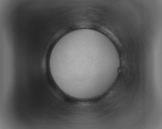 X0000100360250200806271429