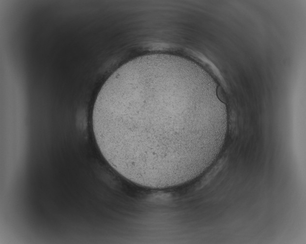 X0000100360257200806271430