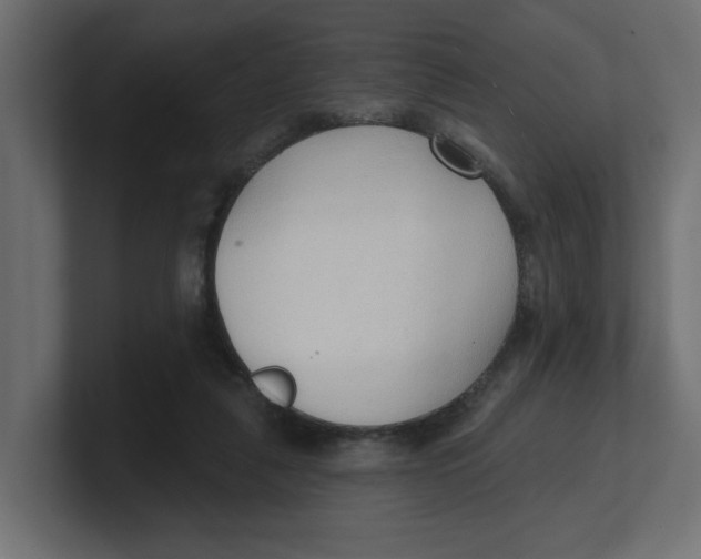 X0000100360259200806271430