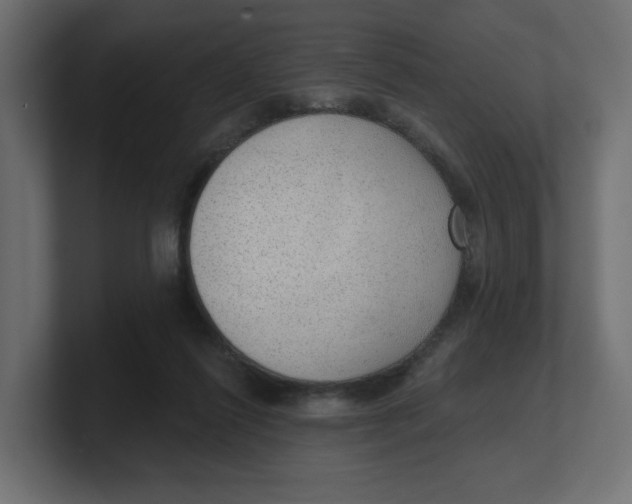 X0000100360262200806271430