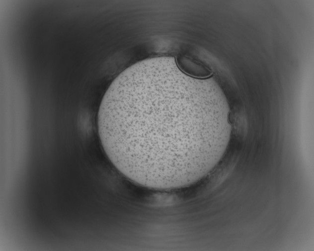 X0000100360272200806271430