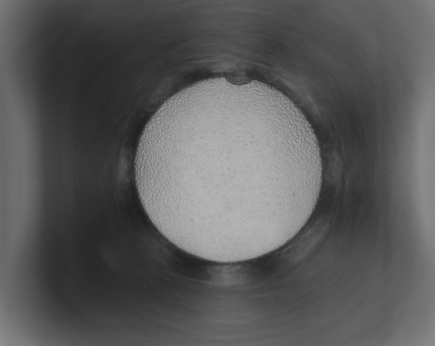 X0000100360273200806271430