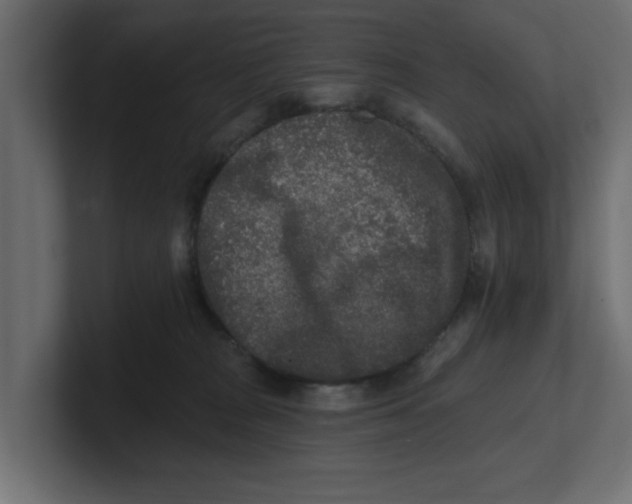 X0000100360277200806271430