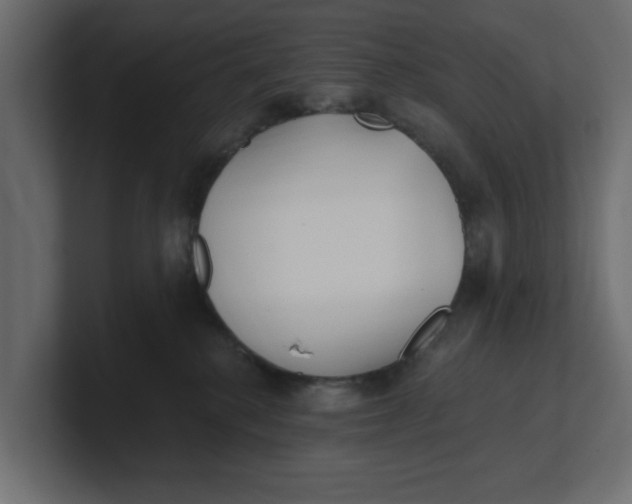 X0000100360280200806271430