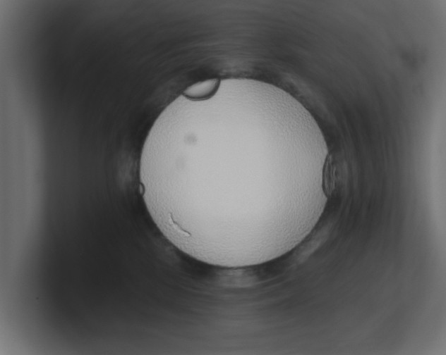 X0000100360281200806271430