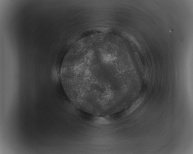 X0000100360285200806271430