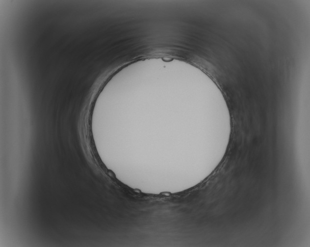 X0000100360289200806271429