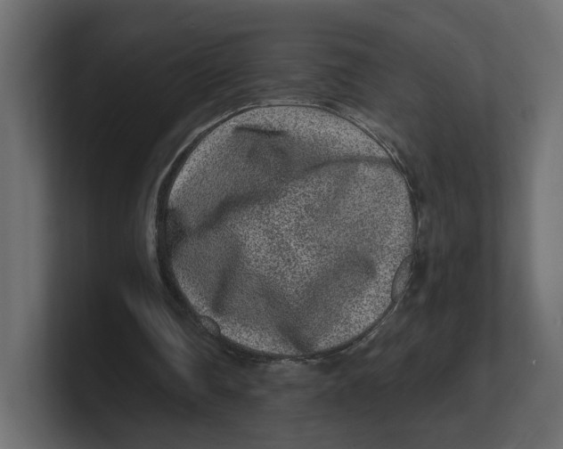 X0000100360290200806271429