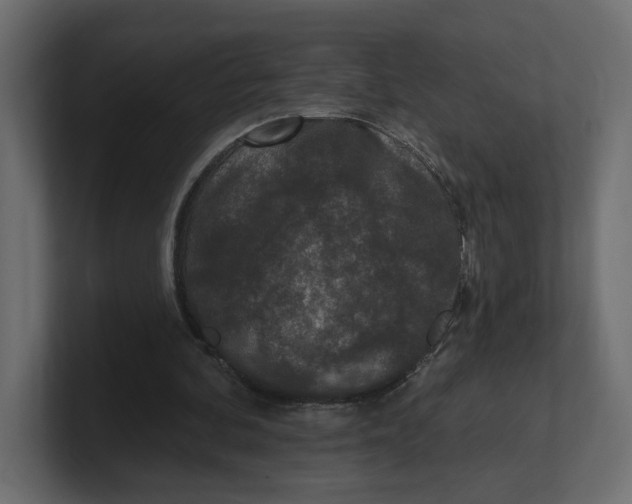 X0000100360292200806271429