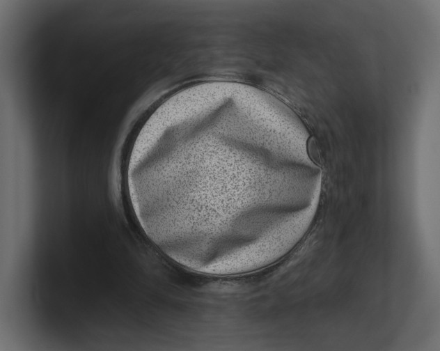 X0000100360294200806271429