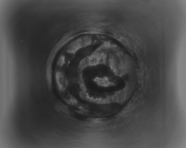 X0000100360295200806271429