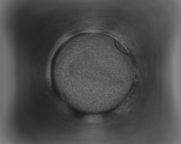 X0000100360296200806271429