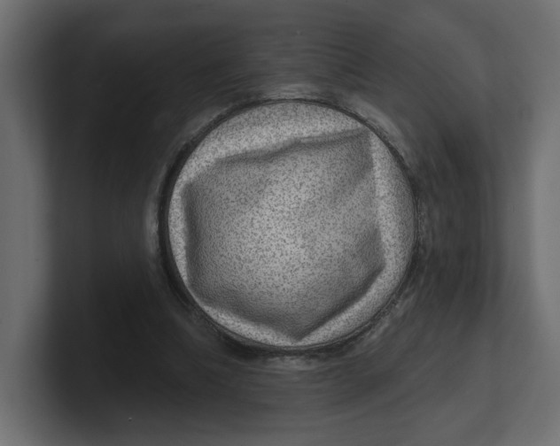 X0000100360298200806271429