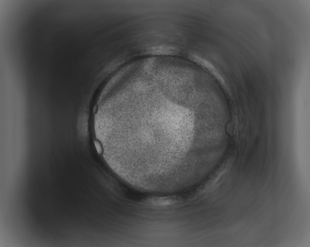 X0000100360299200806271429