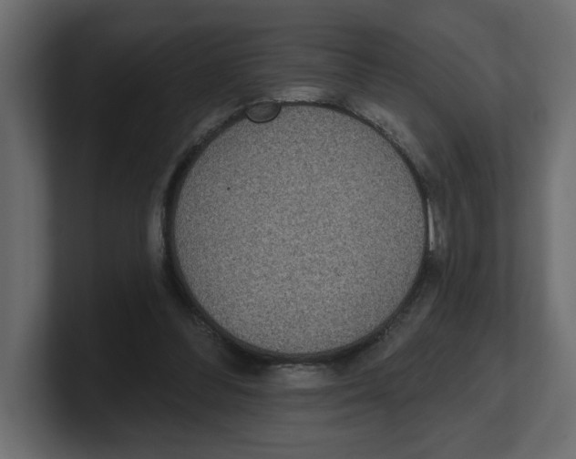 X0000100360300200806271429